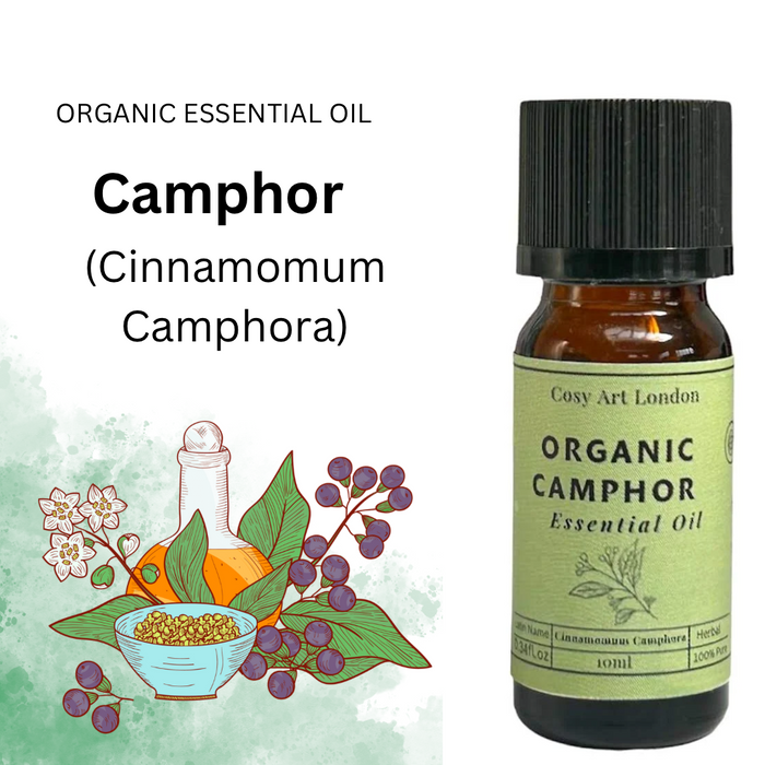 Camphor Organic Essential Oil 10ml